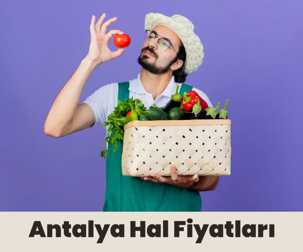 antalya-hal-fiyatlari-2025-gunluk-antalya-hal-fiyat-listesi-1-e6ahFf3z Antalya Hal Fiyatları 2025 (Günlük Antalya Hal Fiyat Listesi)