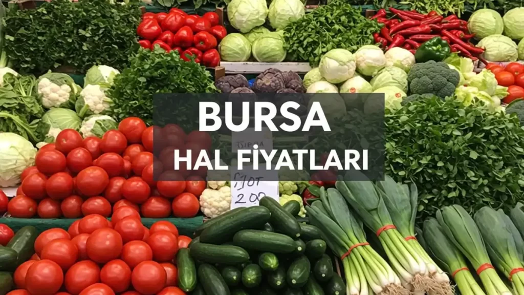 bursa-hal-fiyatlari-2025-guncel-hikmet-sahin-kent-hal-fiyatlari-1-nT9OBGki Bursa Hal Fiyatları 2025 (Güncel Hikmet Şahin Kent Hal Fiyatları)