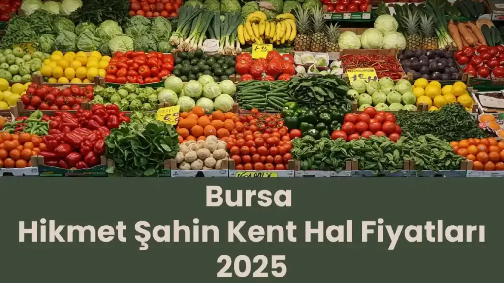 bursa-hal-fiyatlari-2025-guncel-hikmet-sahin-kent-hal-fiyatlari-3-tVhZLK2Z Bursa Hal Fiyatları 2025 (Güncel Hikmet Şahin Kent Hal Fiyatları)
