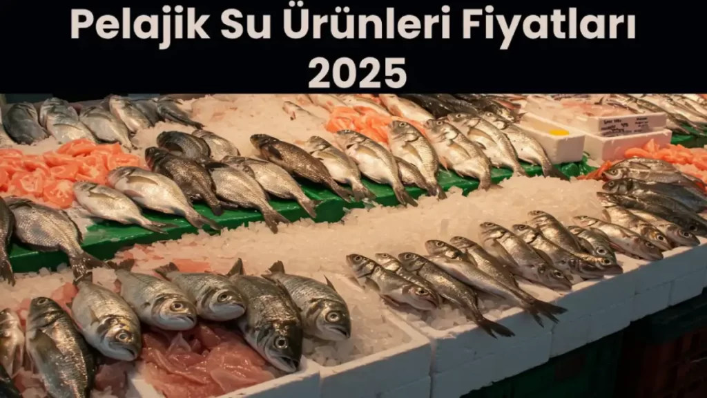 bursa-hal-fiyatlari-2025-guncel-hikmet-sahin-kent-hal-fiyatlari-5-6xWNkWO4 Bursa Hal Fiyatları 2025 (Güncel Hikmet Şahin Kent Hal Fiyatları)