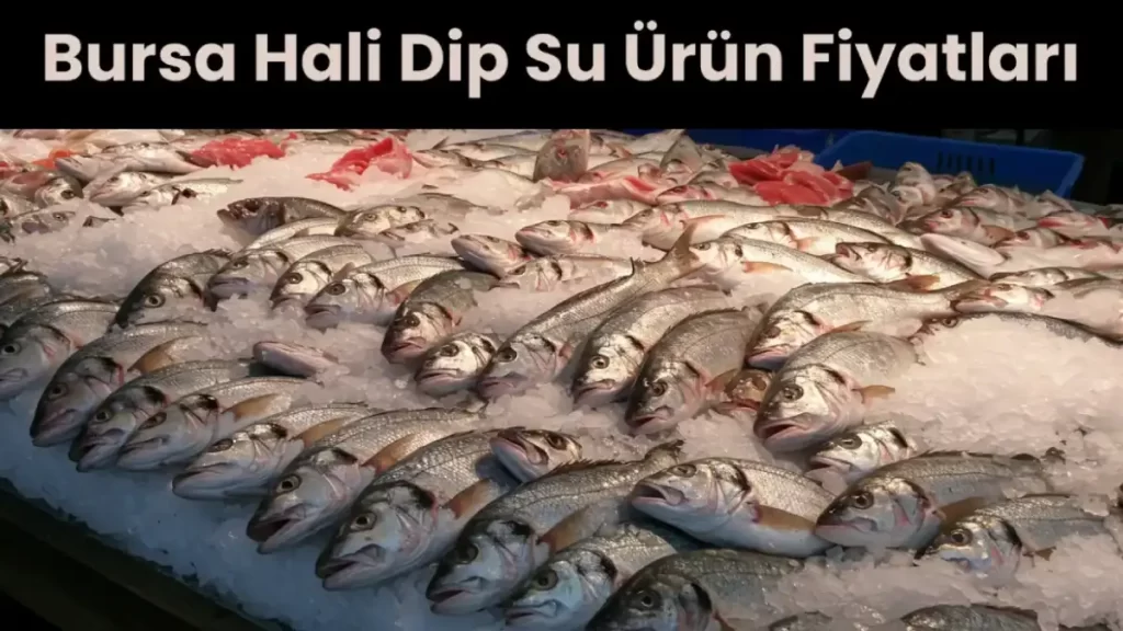 bursa-hal-fiyatlari-2025-guncel-hikmet-sahin-kent-hal-fiyatlari-6-i95X6BNf Bursa Hal Fiyatları 2025 (Güncel Hikmet Şahin Kent Hal Fiyatları)