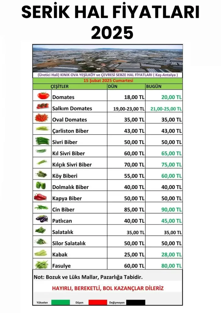 serik-hal-fiyatlari-2025-guncel-serik-hal-fiyat-listesi-0-mrvnqG1N Serik Hal Fiyatları 2025 (Güncel Serik Hal Fiyat Listesi)